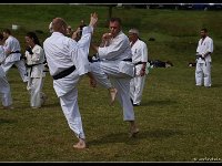 dan gradering FIGHT